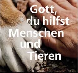 Quelle: www.ekiwiesloch.de